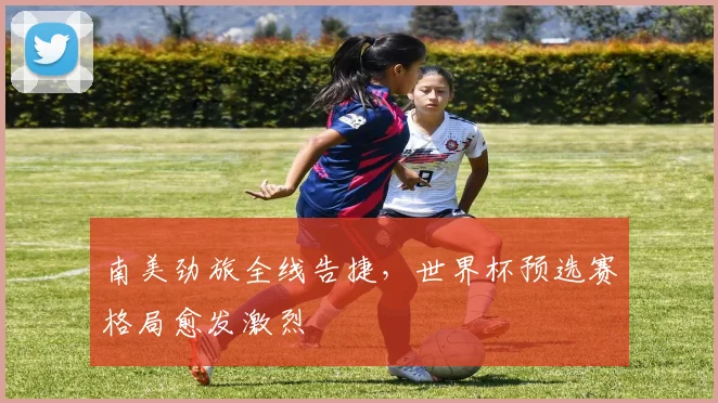 南美劲旅全线告捷，世界杯预选赛格局愈发激烈